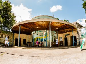 Moody Grant Recipient: Barton Springs Conservancy